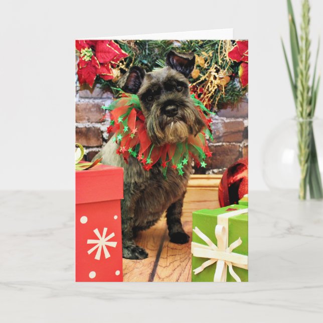 Christmas - Schnauzer - Fenway Holiday Card (Front)
