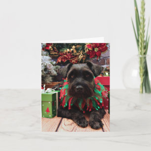 Christmas - Schnauzer Mix - Bentley Holiday Card