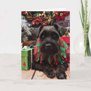 Christmas - Schnauzer Mix - Bentley Holiday Card
