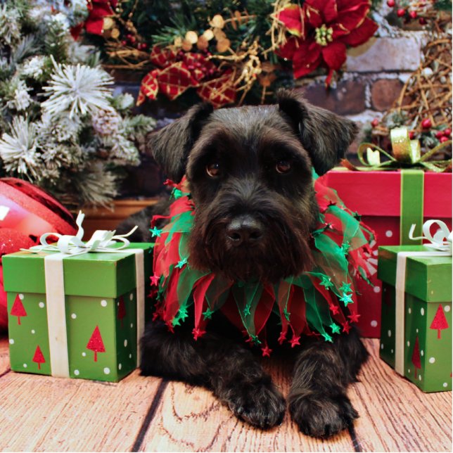 Christmas - Schnauzer Mix - Bentley Statuette (Front)