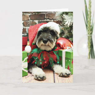 Christmas - Schnauzer - Tom Dooley Holiday Card