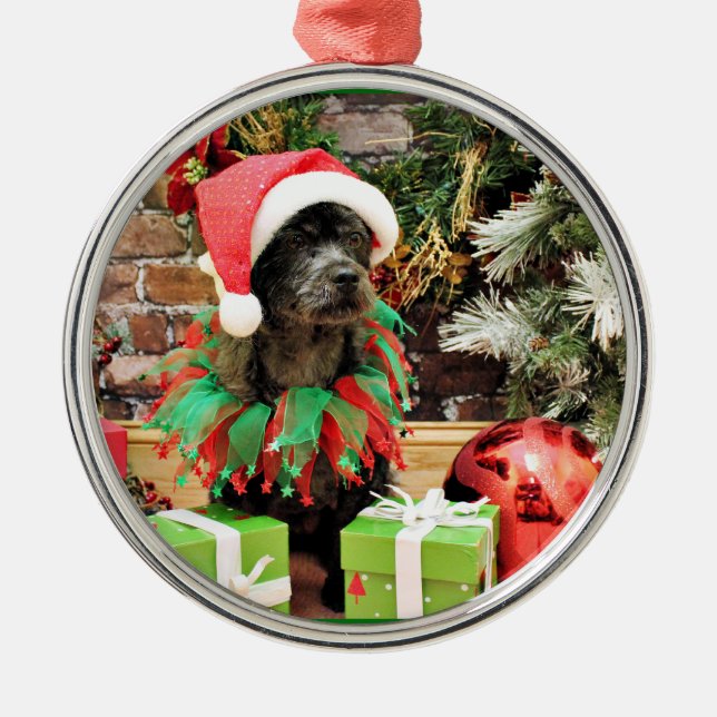 Christmas - Schnoodle - Rookie Metal Ornament (Front)