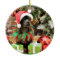 Christmas - Schnoodle - Rookie