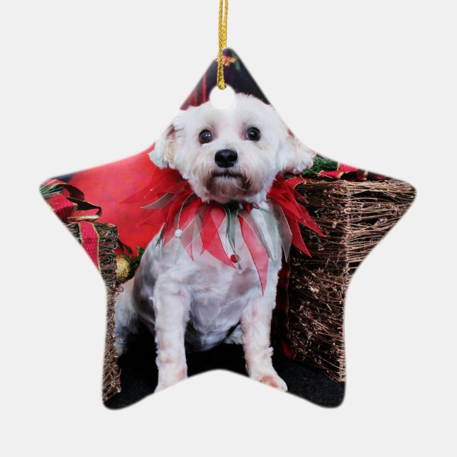 Christmas - Schnoodle - Zoey Ceramic Ornament (Front)