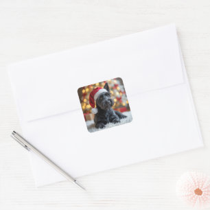 Christmas Scottish Terrier On Fur Square Sticker