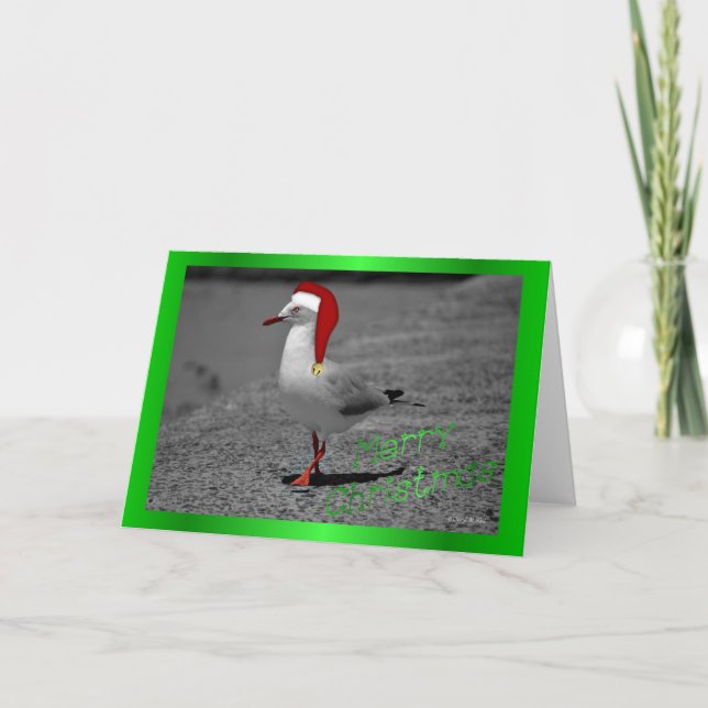Christmas seagull santa hat funny Christmas humor Holiday Card (Front)