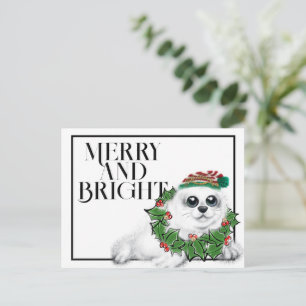 Christmas Seal pup, festive Arctic animal Postcard