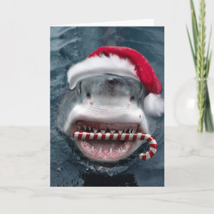 Christmas Shark Card