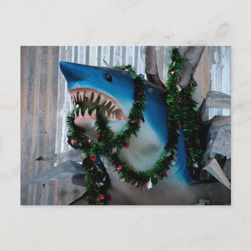 Christmas Shark postcard