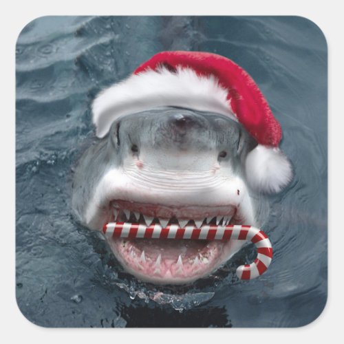 Christmas Shark Square Sticker