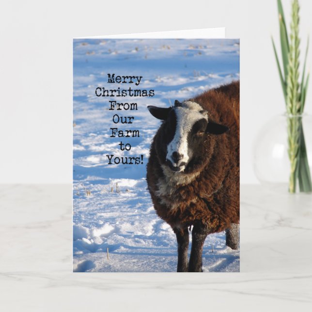 Christmas Sheep From Our Farm to Yours Holiday Card (Front)