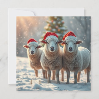 Christmas Sheep Holiday Card