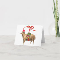 Christmas sheep holiday card