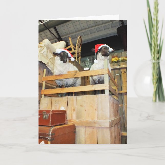 Christmas sheep holiday card (Front)