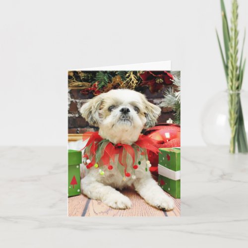 Christmas _ Shih Tzu _ Bailey Holiday Card