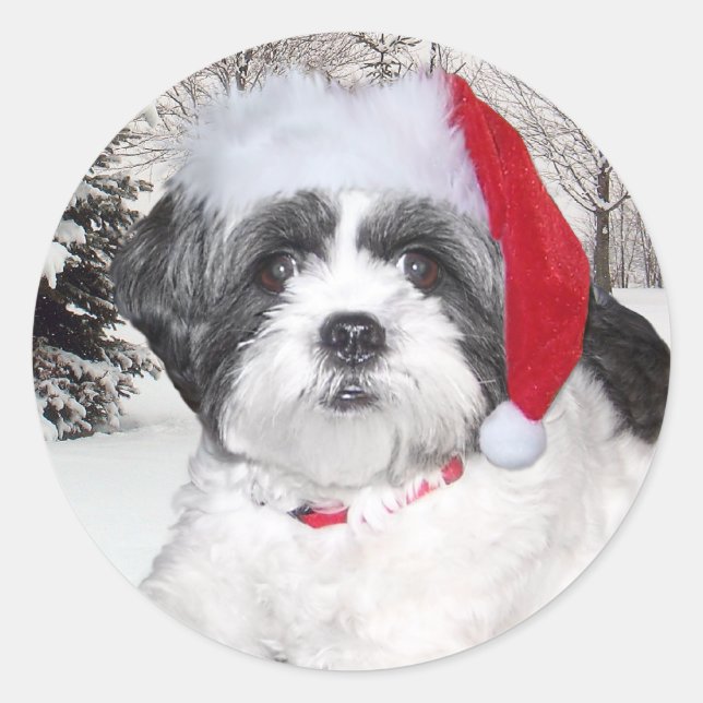Christmas Shih Tzu Classic Round Sticker (Front)