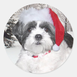 Christmas Shih Tzu Classic Round Sticker
