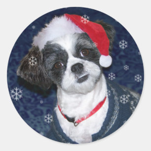 Christmas Shih Tzu Dog Classic Round Sticker