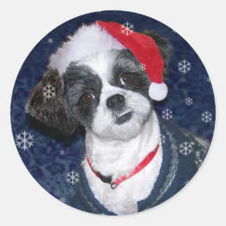 Christmas Shih Tzu Dog Classic Round Sticker
