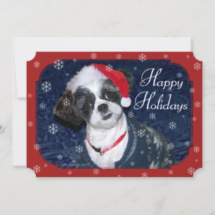 Christmas Shih Tzu Dog Holiday Card