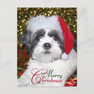 Christmas Shih Tzu Dog Holiday Postcard