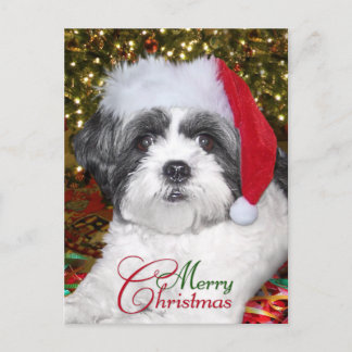 Christmas Shih Tzu Dog Holiday Postcard