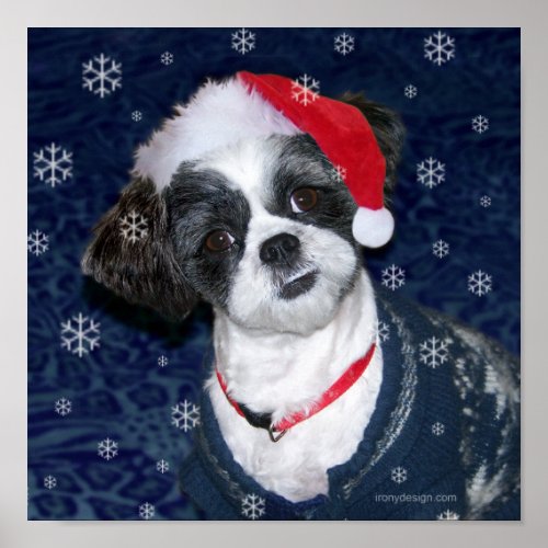 Christmas Shih Tzu Dog Poster