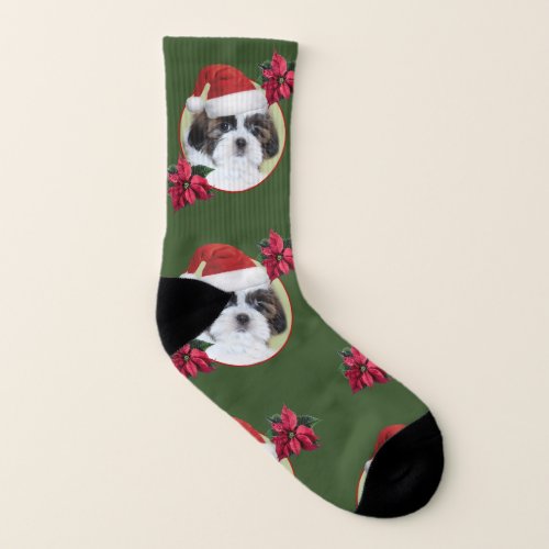 Christmas shih tzu  dog socks