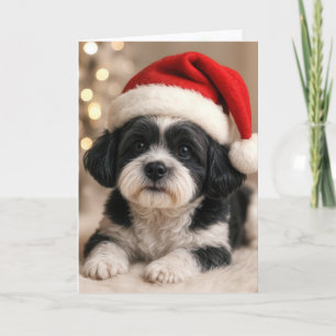 Christmas Shih Tzu Dog With Santa Hat Card