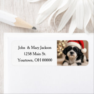 Christmas Shih Tzu Dog With Santa Hat Label