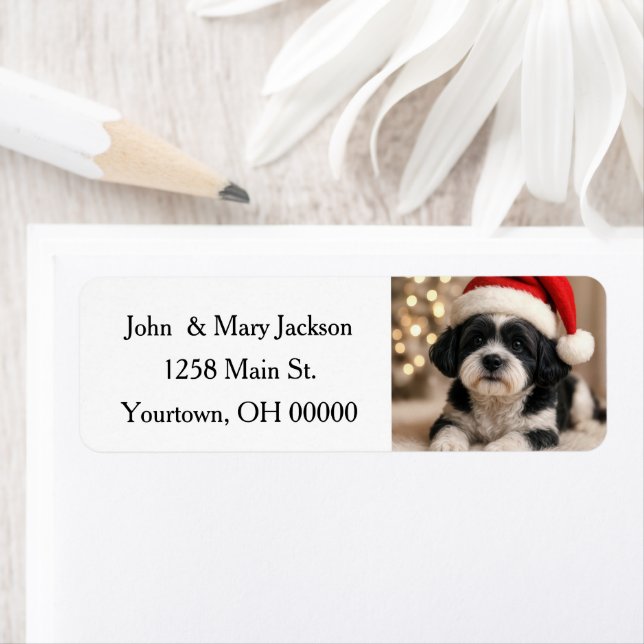 Christmas Shih Tzu Dog With Santa Hat Label (Insitu)