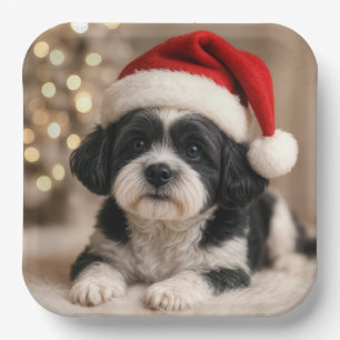 Christmas Shih Tzu Dog With Santa Hat Paper Plates