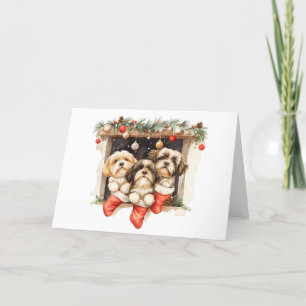 Christmas Shih Tzu Dogs Holiday Card