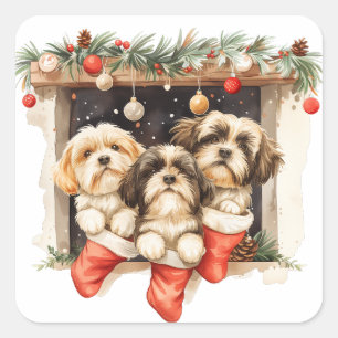 Christmas Shih Tzu Dogs Square Sticker