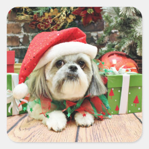 Christmas - Shih Tzu - Gizmo Square Sticker