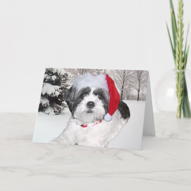 Christmas Shih Tzu Holiday Card (Front)