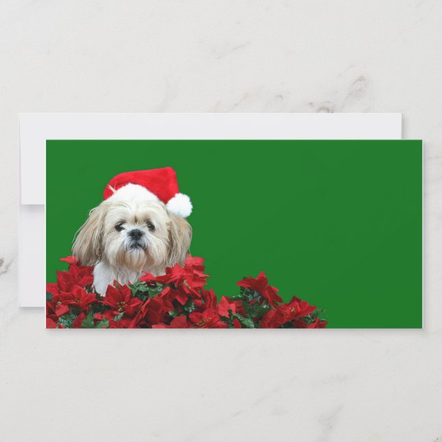 Christmas Shih Tzu Holiday Card (Front)