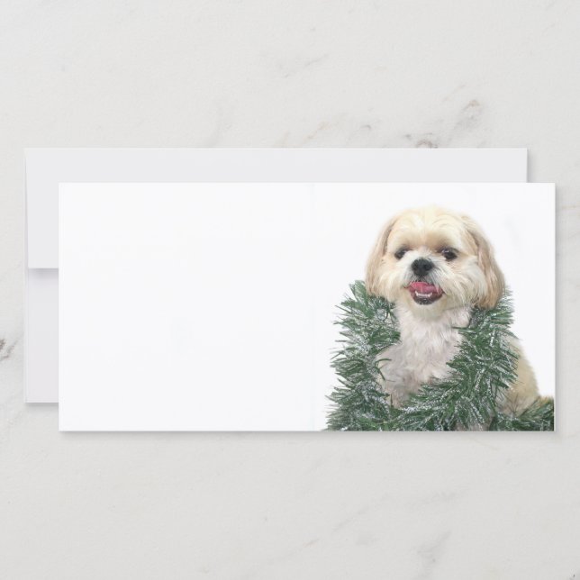 Christmas Shih Tzu Holiday Card (Front)
