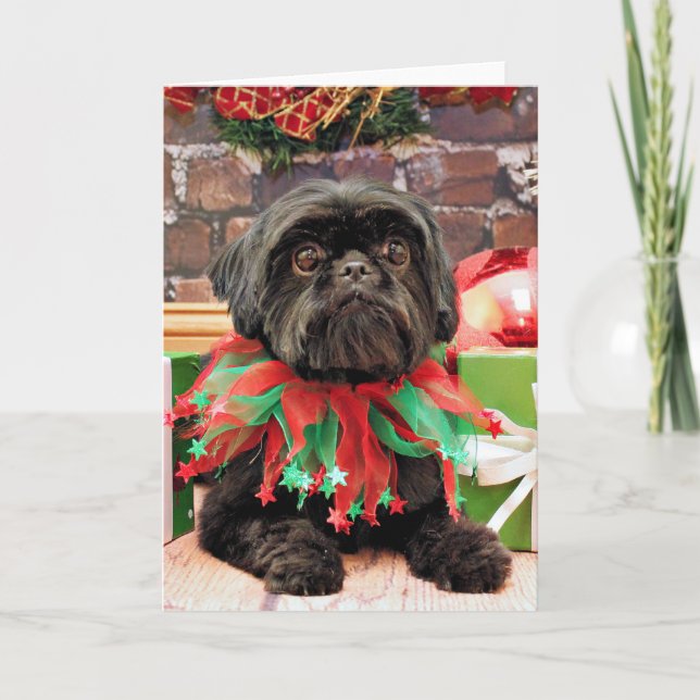 Christmas - Shih Tzu - Lily Holiday Card (Front)