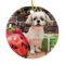 Christmas - Shih Tzu - Marley