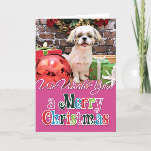 Christmas - Shih Tzu - Marley Holiday Card
