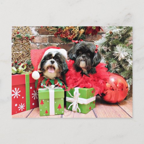 Christmas _ Shih Tzu _ Riley and Ruffles Holiday Postcard