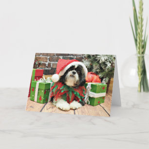 Christmas - Shih Tzu - Riley Holiday Card