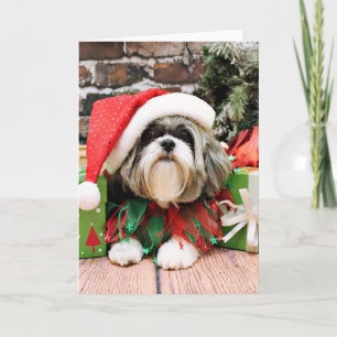 Christmas - Shih Tzu - Vince Holiday Card