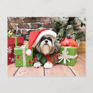 Christmas - Shih Tzu - Vince Holiday Postcard