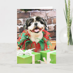 Christmas - Shih Tzu X - Sunny Holiday Card