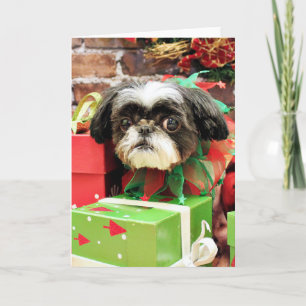Christmas - Shih Tzu - Yogi Holiday Card