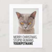 Christmas Simple Funny Pet Name Photo