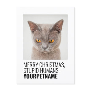 Christmas Simple Funny Pet Name Photo Postcard