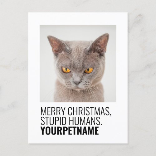 Christmas Simple Funny Pet Name Photo Postcard